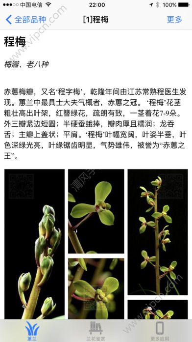 手游648软件下载_手游648充值平台软件下载v