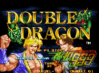 ˫DoubleDragon